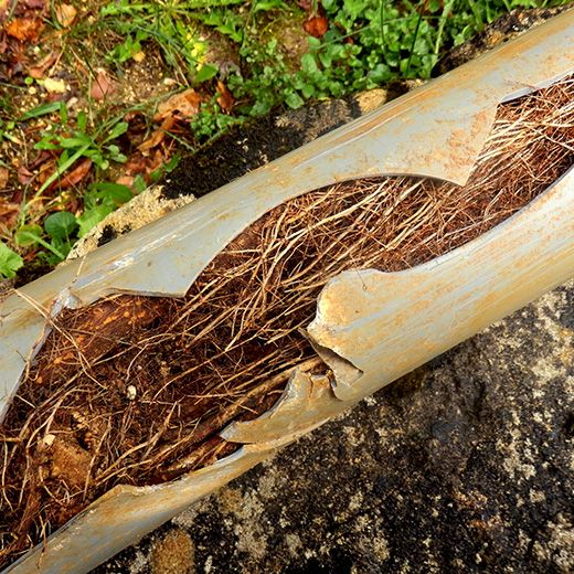 Same Day Drain Sewer & Rooter Pros Across Hebron